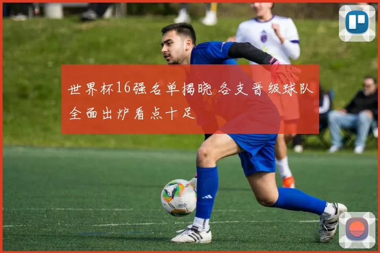 世界杯16强名单揭晓 各支晋级球队全面出炉看点十足