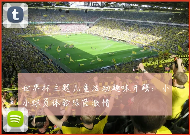 世界杯主题儿童活动趣味开踢,小小球员体验绿茵激情